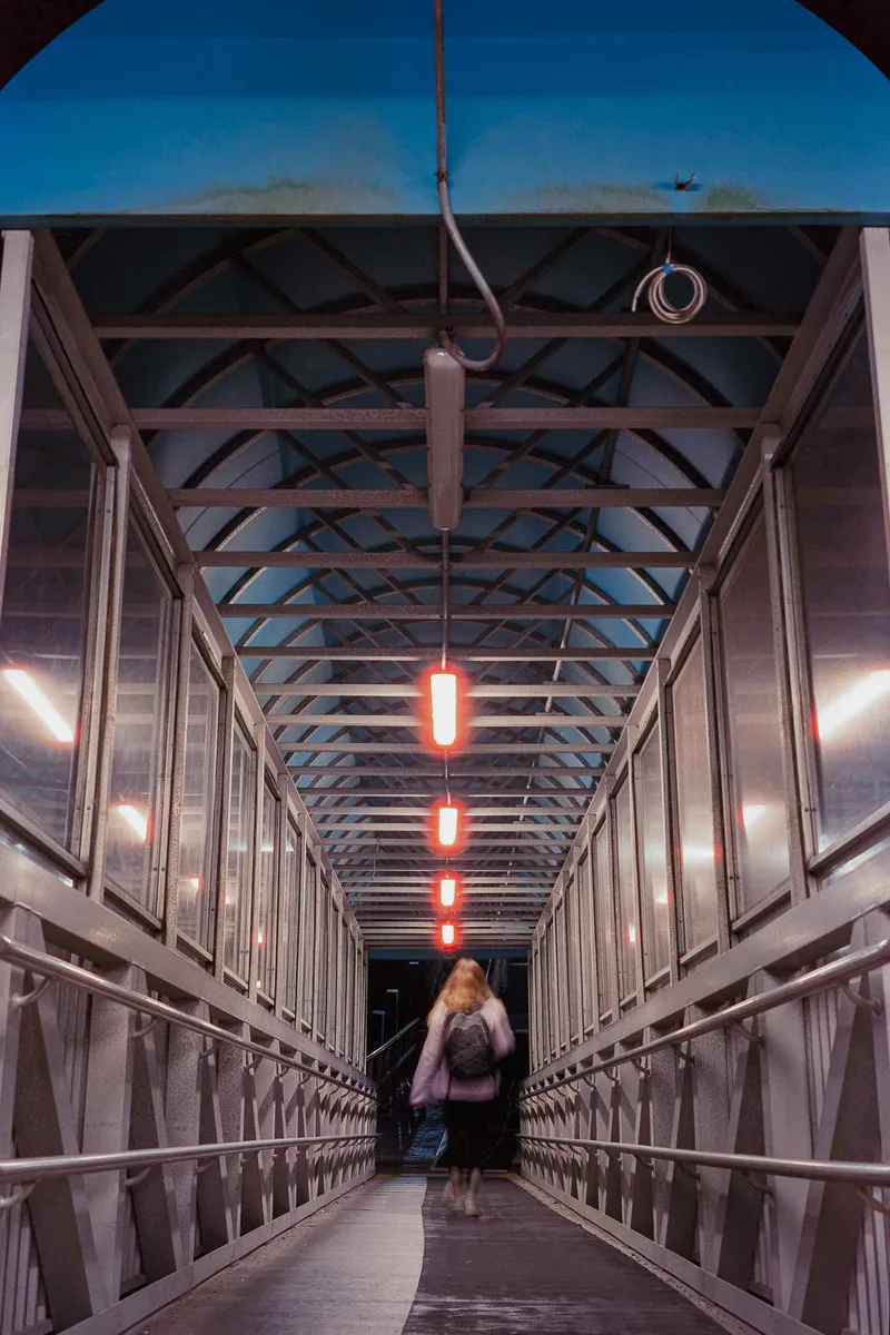 Film photo shot on Cinestill 800T with a Fuji GW690III, developed at Colortek of Boston, by Cam Cavagnaro