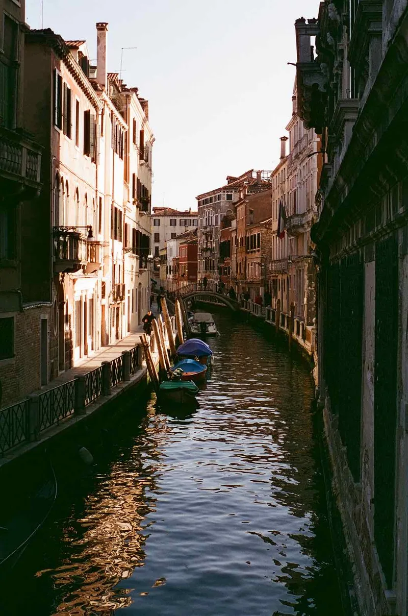 Film photo shot on Cinestill 400D with a Pentax P30, developed at The Film Safe, by alanna