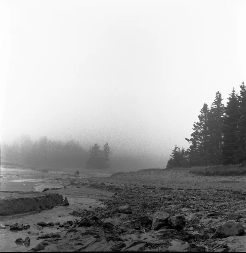 fog, sandy beach, acadia national park, maine shot on Kodak Tri-X 400 with a Rolleiflex Automat, developed at Home / Self-Developed, by Eric Wefald - Huang