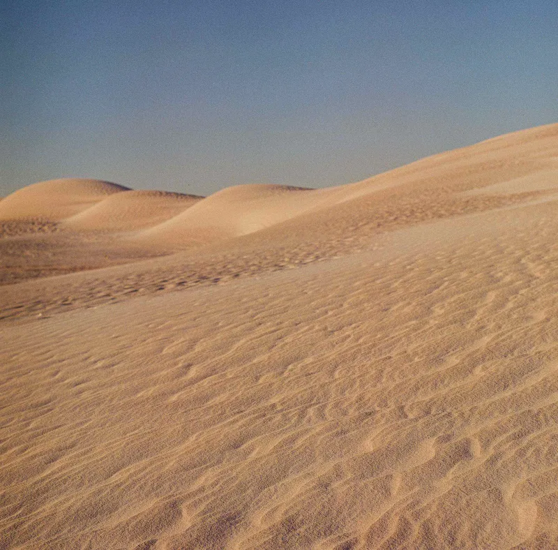 Dune shot on Kodak Gold 200 with a Hasselblad 503CX, developed at SilverPan, by James Greenoff-Cairns