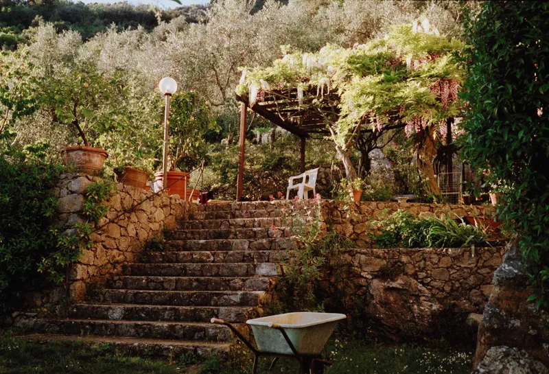 Tuscany Throne shot on Cinestill 400D with a Leica CL, by film.filipe