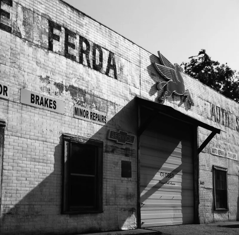 Film photo shot on Ferrania Orto with a Yashica C, developed at Print Refinery, by Tom