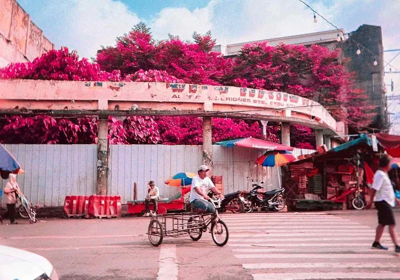 Film photo shot on Kodak Portra 160 with a Kodak Ektar H35N, developed at F8 Photo, by Rafael Gandionco