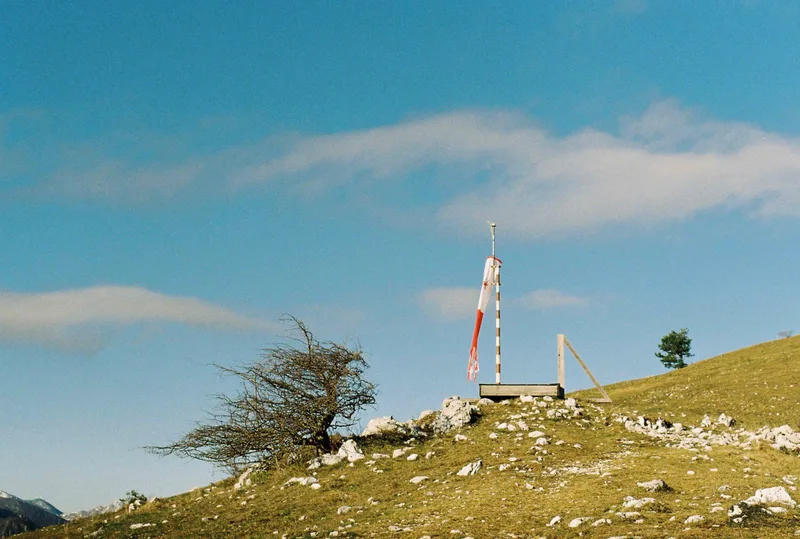 No wind shot on Kodak UltraMax 400 with a Pentax Spotmatic SP, developed at Nuova Colore SRL, by Leonardo