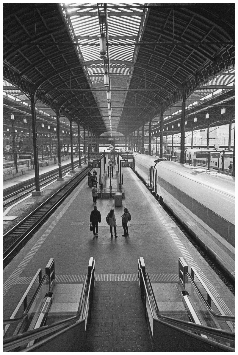 Film photo shot on Ilford Pan 400 with a Yashica T4 Zoom, developed at Home / Self-Developed, by wholegrain