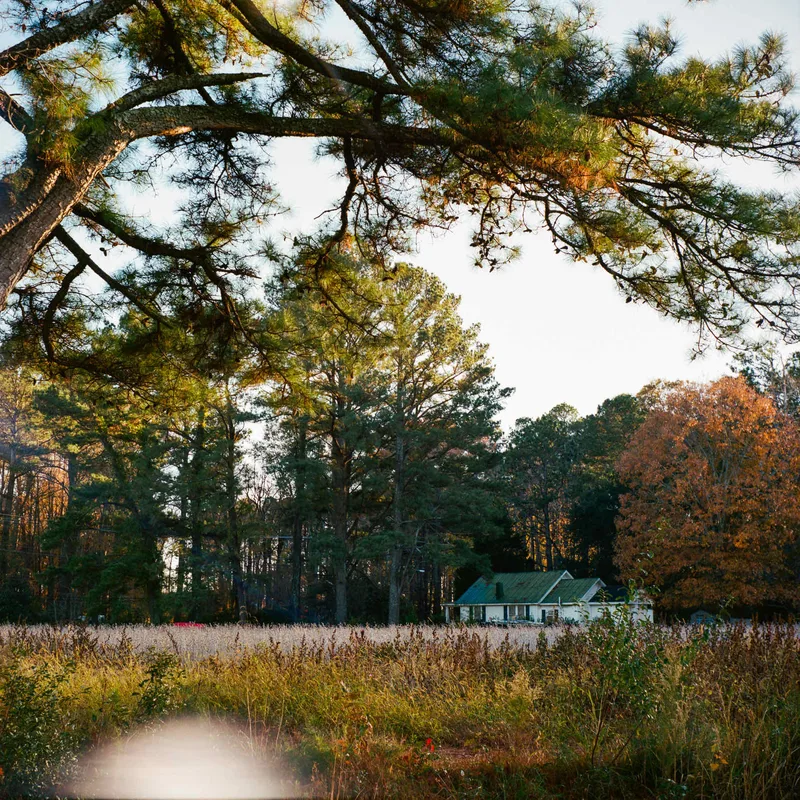Film photo shot on Kodak Portra 400 with a Salyut C, developed at The DarkRoom, by Ryan