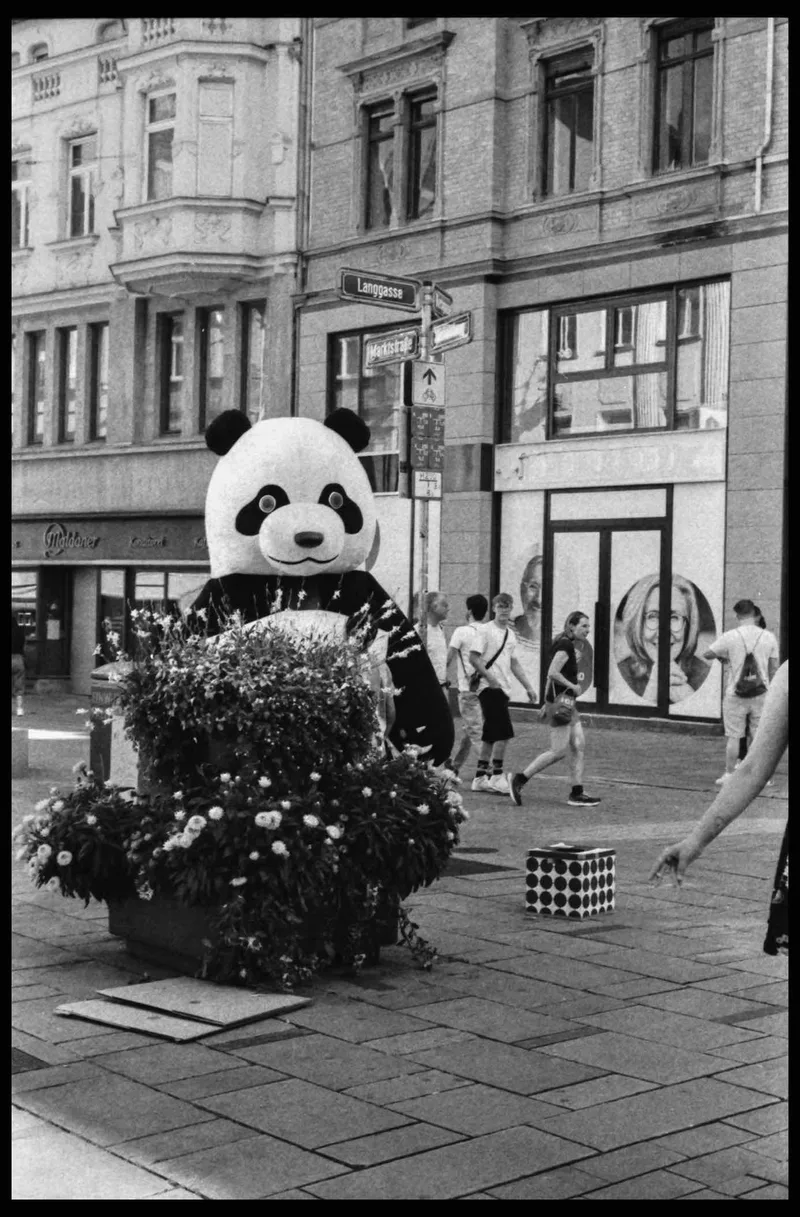 Film photo shot on Fujifilm Fujifilm Neopan 1600 with a Nikon F3, developed at Home / Self-Developed, by Frank