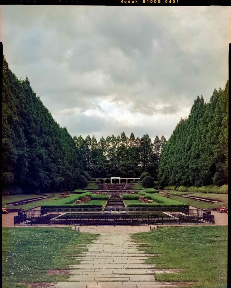 Cross-Processed shot on Kodak Ektachrome 100G with a Intrepid 4x5, developed at Home / Self-Developed, by Nicholas Smith