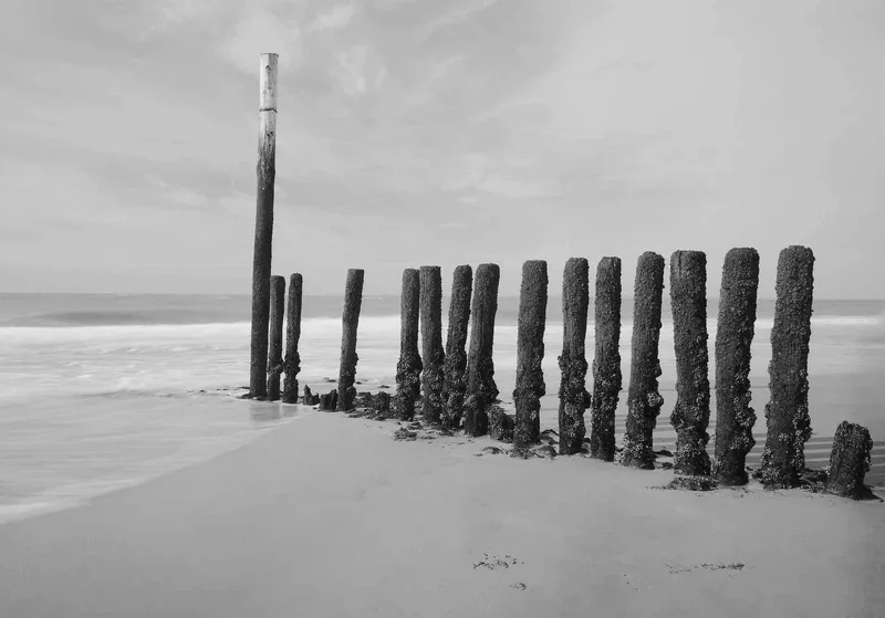 Mussel posts shot on Ilford Delta 100 with a Chamonix 45F-2, developed at Home / Self-Developed, by Patrick Marquetecken