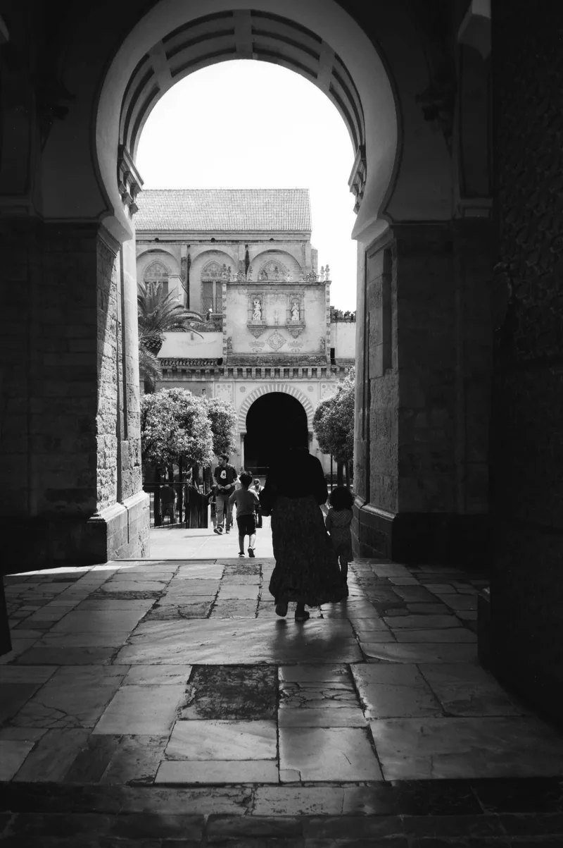 “Cathedral” shot on Fujifilm Neopan Acros 100 II with a Fujifilm Klasse W, developed at theFINDlab, by Tyler Cahoon retrofilmproject