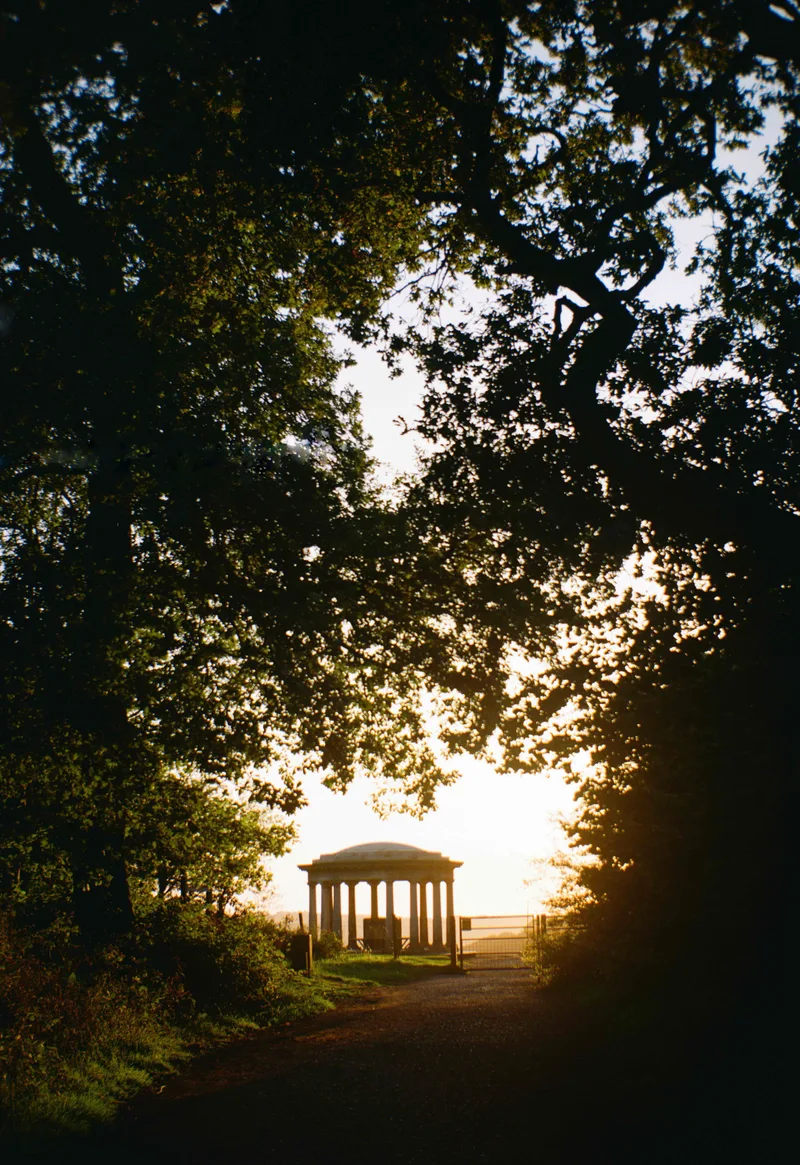 Folly shot on Kodak Gold 200 with a Agfa Box Camera, developed at Film Processing, by Ols