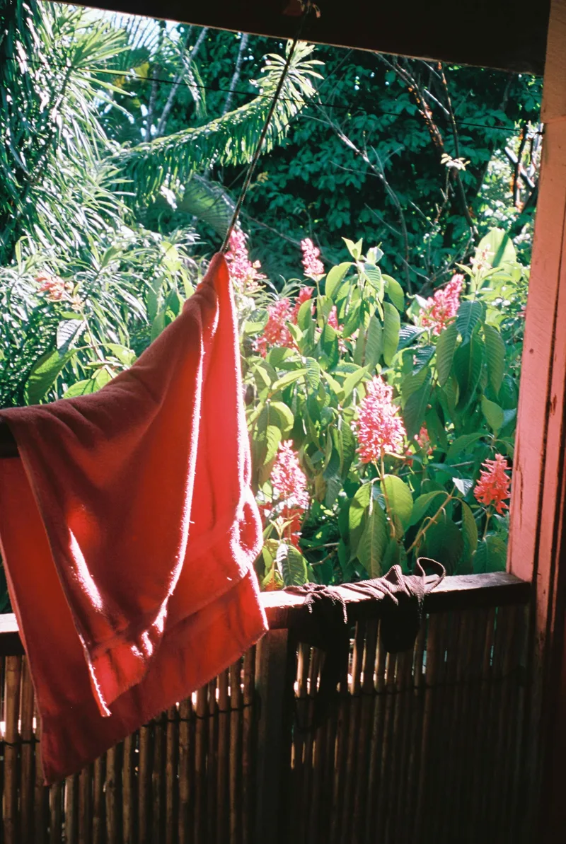 Costa Rica i shot on Hundred Film 1Hundred with a Olympus mjuiizoom115, developed at Jacobo Biarnés Photo Studio, by Emma