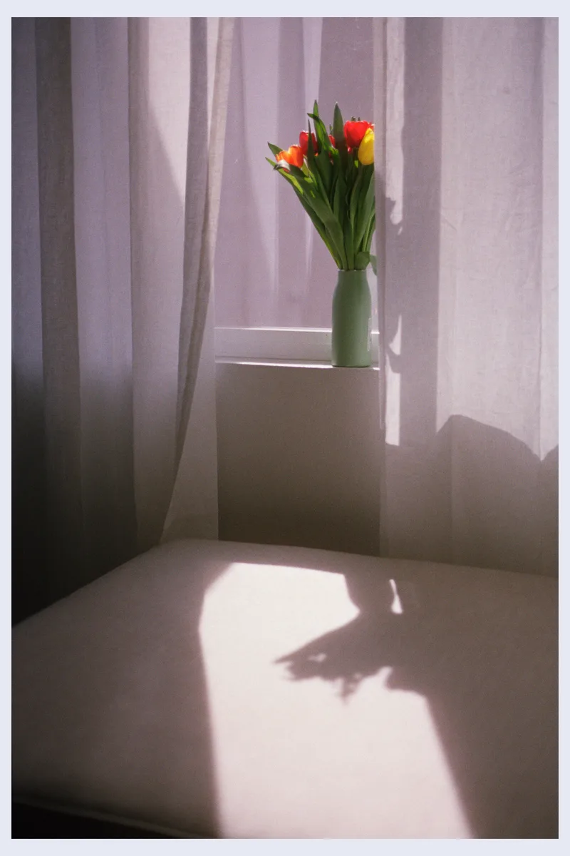 Flowers in Window shot on Candido Collective Candido400 with a Voigtländer Bessa R, developed at Nelson Photo Supplies, by Leland