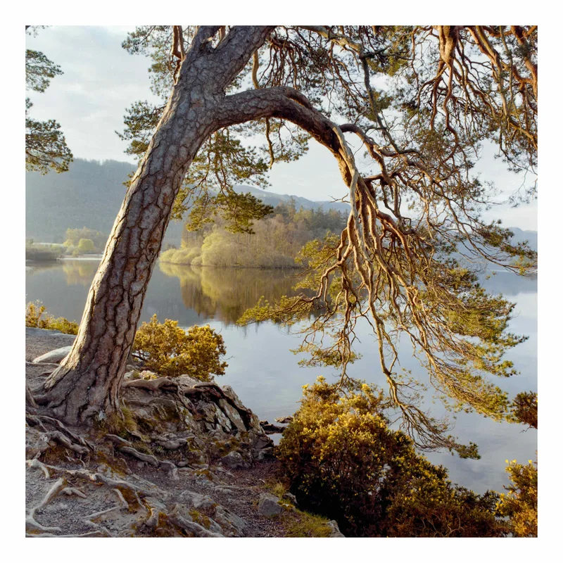 Friar’s Crag shot on Kodak Gold 200 with a Zenza Bronica SQ-Ai, developed at Home / Self-Developed, by Stuart Leeds