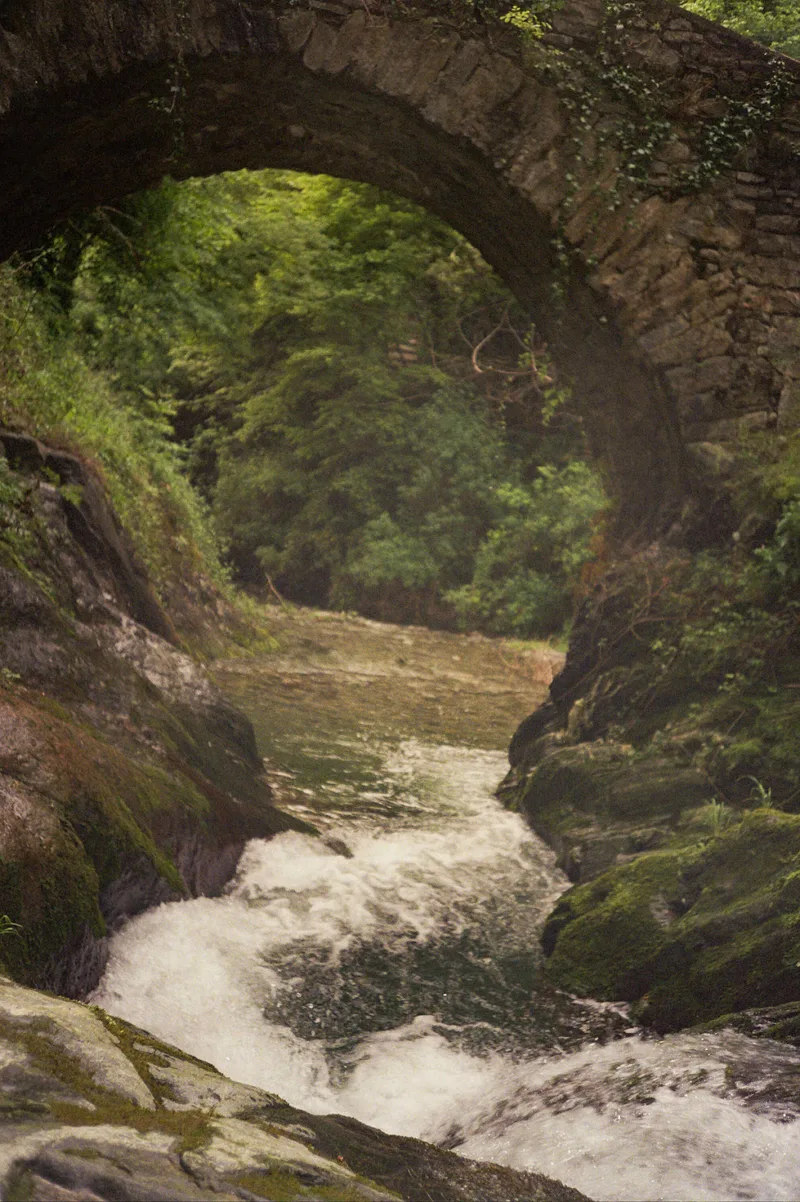 A grand adventure shot on Kodak Gold 200 with a Olympus Mju-II, by Victoria jones
