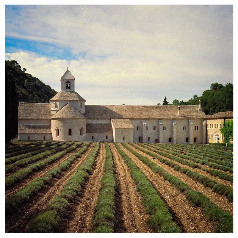 Abbaye de Sénanque (1 of 3) shot on Kodak Portra 160 with a Rollei Rolleiflex3.5C, developed at Foto Brell, by Thomas Meyer
