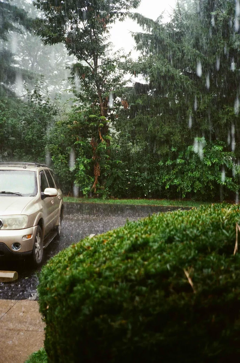 Rain shot on Fujifilm 200 with a Minolta Hi-Matic AF2, developed at The DarkRoom, by KeiFresh