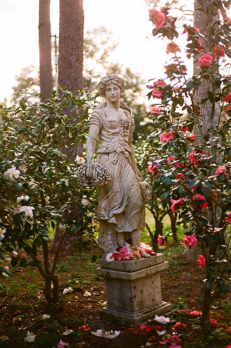 Film photo shot on Kodak UltraMax 400 with a Canon Elan IIe, developed at Reformed Film Lab, by bri