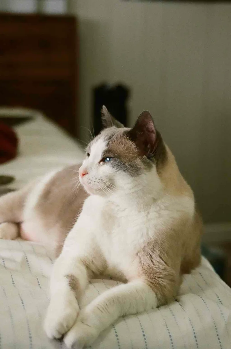Portrait of Sunny shot on Fujifilm Superia X-TRA 400 with a Minolta X-370S, developed at The DarkRoom, by 35mm_of_Alex