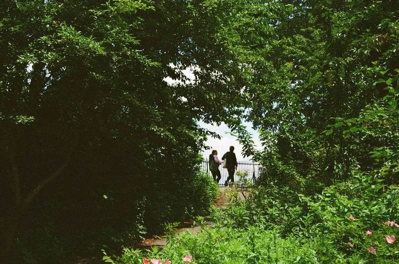 Film photo shot on Kodak UltraMax 400 with a Pentax IQZoom 700, by Katerina