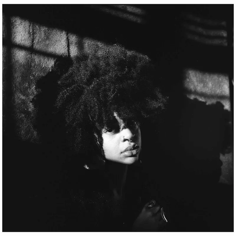 Film photo shot on Kodak Tri-X 400 with a Yashica Mat, by Naomi