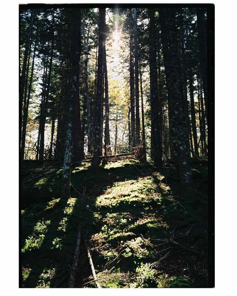 appalachian trail, maine shot on Kodak Kodacolor 200 with a Leica M3, developed at Northeast Photographic, by Eric Wefald - Huang