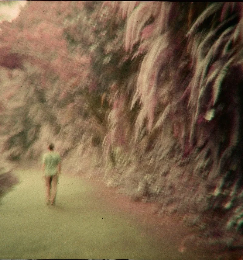 Film photo shot on Lomography LomoChrome Purple 100 with a Lomography Diana F+, by Tabi Hituji