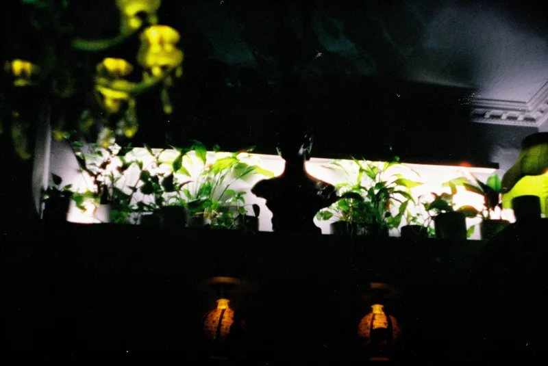 Rituals shot on Cinestill 800T with a Zenit ET, developed at F8 Camera Shop, by Dávid