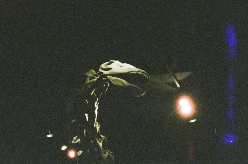 Film photo shot on Reformed Film Lab Reformed Night Shots with a Canon EOS Elan 7, developed at Reformed Film Lab, by parker
