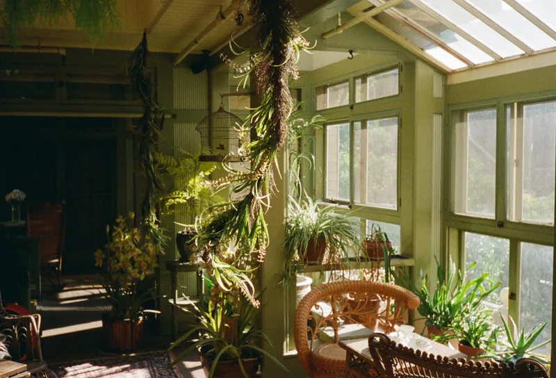 Winchester House - Greenroom shot on Kodak Portra 400 with a Pentax 17, developed at Horn Photo, by Charlie