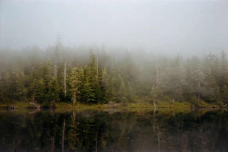 Carlanna Lake shot on Kodak Gold 200 with a Ricoh TF-500, developed at Dodd Camera, by Dylan Buell