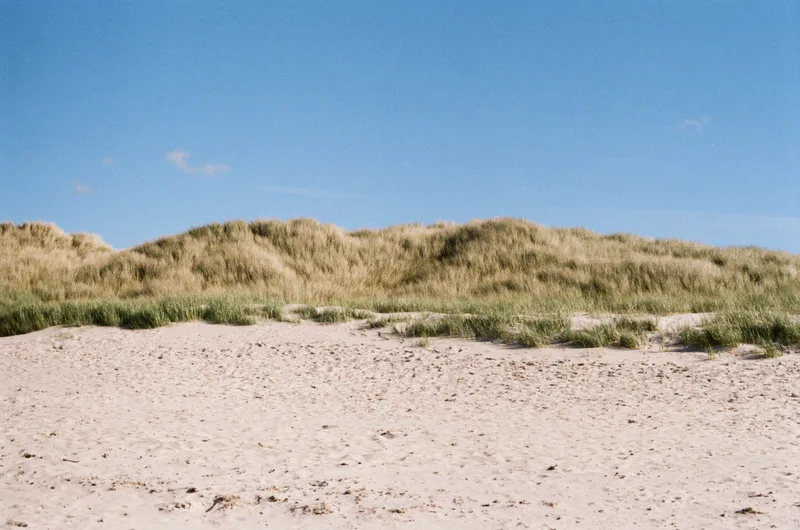 Le vent shot on Kodak Gold 200 with a Rolleiflex SL35M, developed at L'Atelier Argentique, by alvahgoldbook