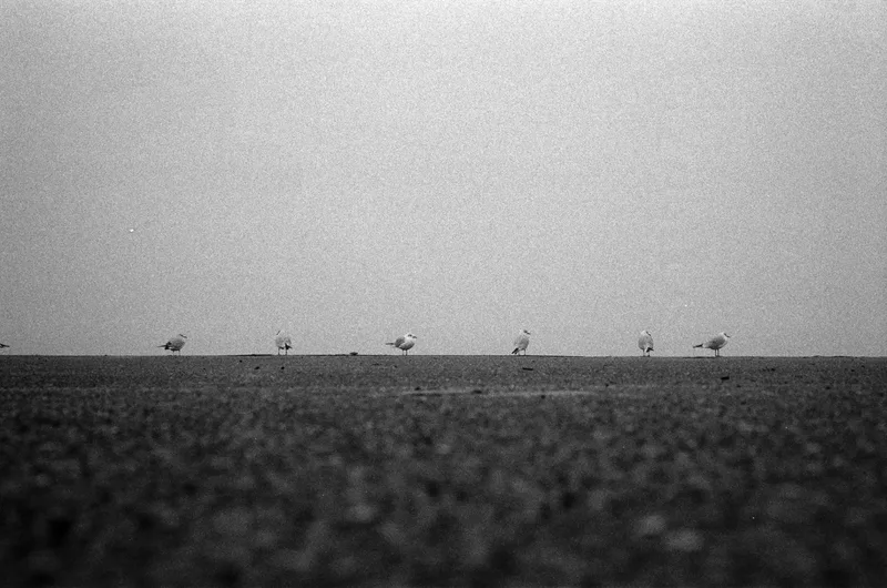 The horizon committee shot on Ilford Kentmere Pan 400 with a Leica M4-P, developed at Spieker Film Lab, by Simon Reindl