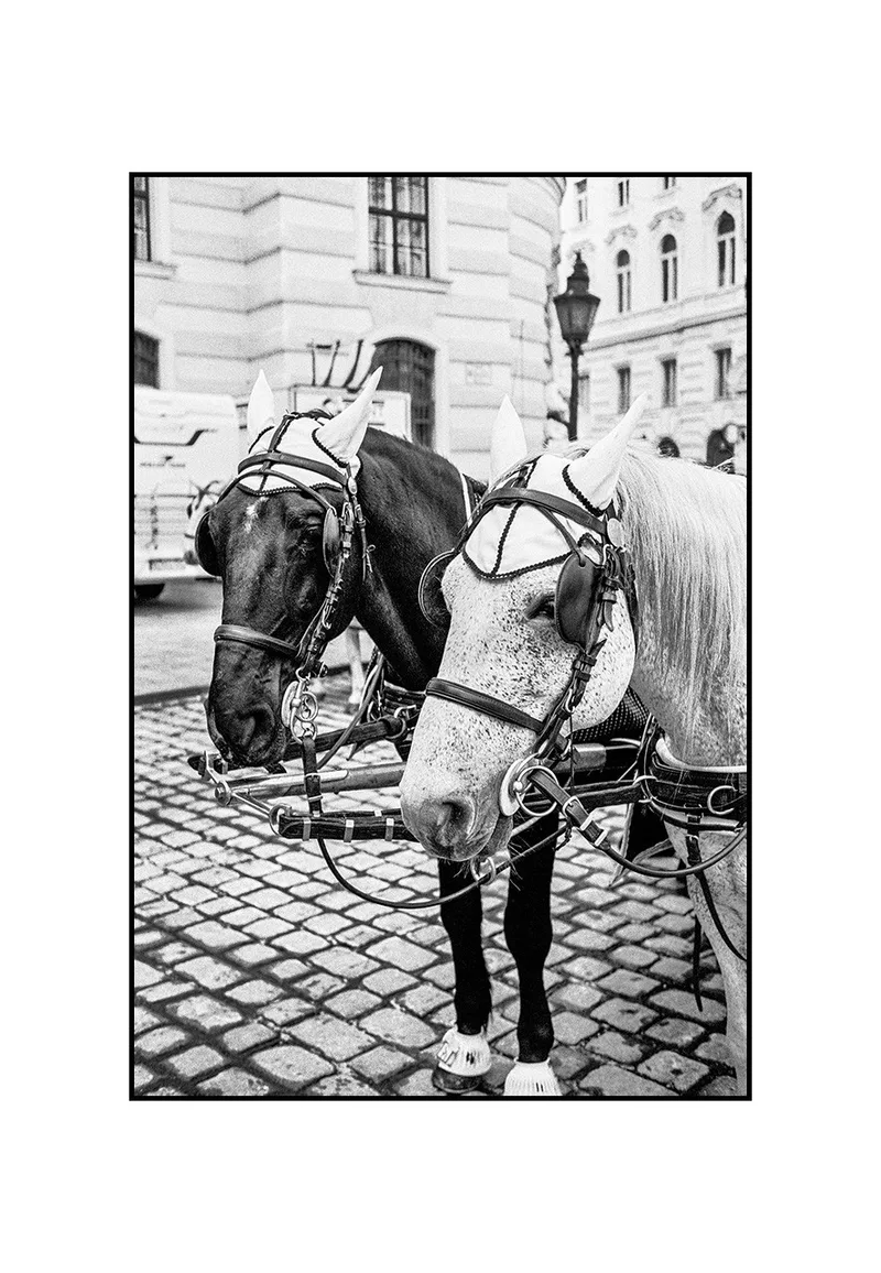Black and White shot on Kodak T-Max 100 with a Leica CM, developed at Sedan Sieben, by Christian