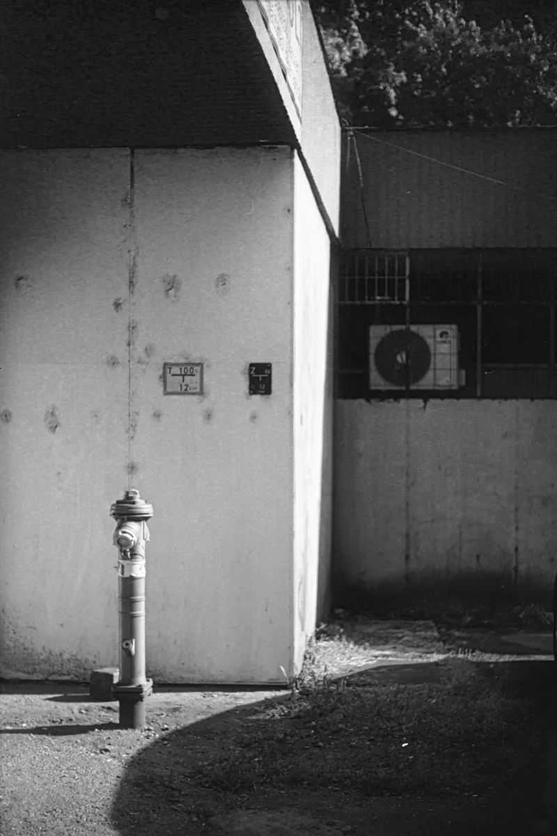 Backyard Relic shot on Rollei Retro 80S with a Pentax Spotmatic SP, developed at Home / Self-Developed, by Endre