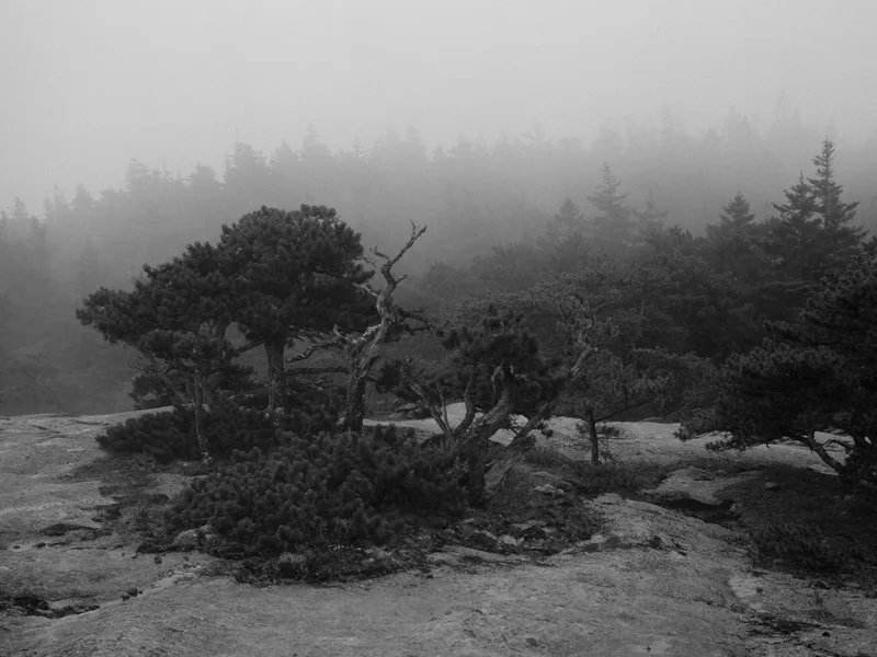 Misty Mountain shot on Fujifilm Neopan Acros 100 II with a Fuji GS645, developed at Procam, by Dylan Buell