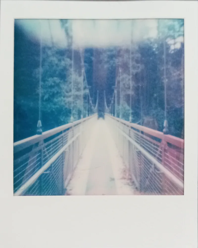 Bridge in the woods shot on Polaroid Go with a Polaroid Go Gen 2, by Nine_H
