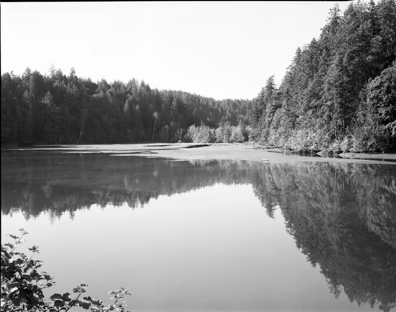 Big Beef Harbor shot on Ilford Delta 100 with a Toyo 45G, developed at Home / Self-Developed, by Ken in Portland