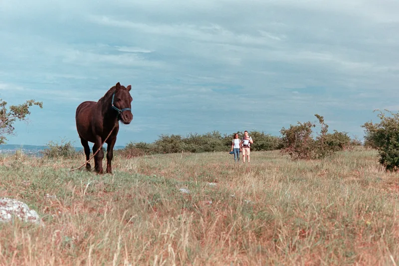 Film photo shot on Kodak Aerocolor 125 with a Olmypus OM30, developed at Budachrome, by Konappy