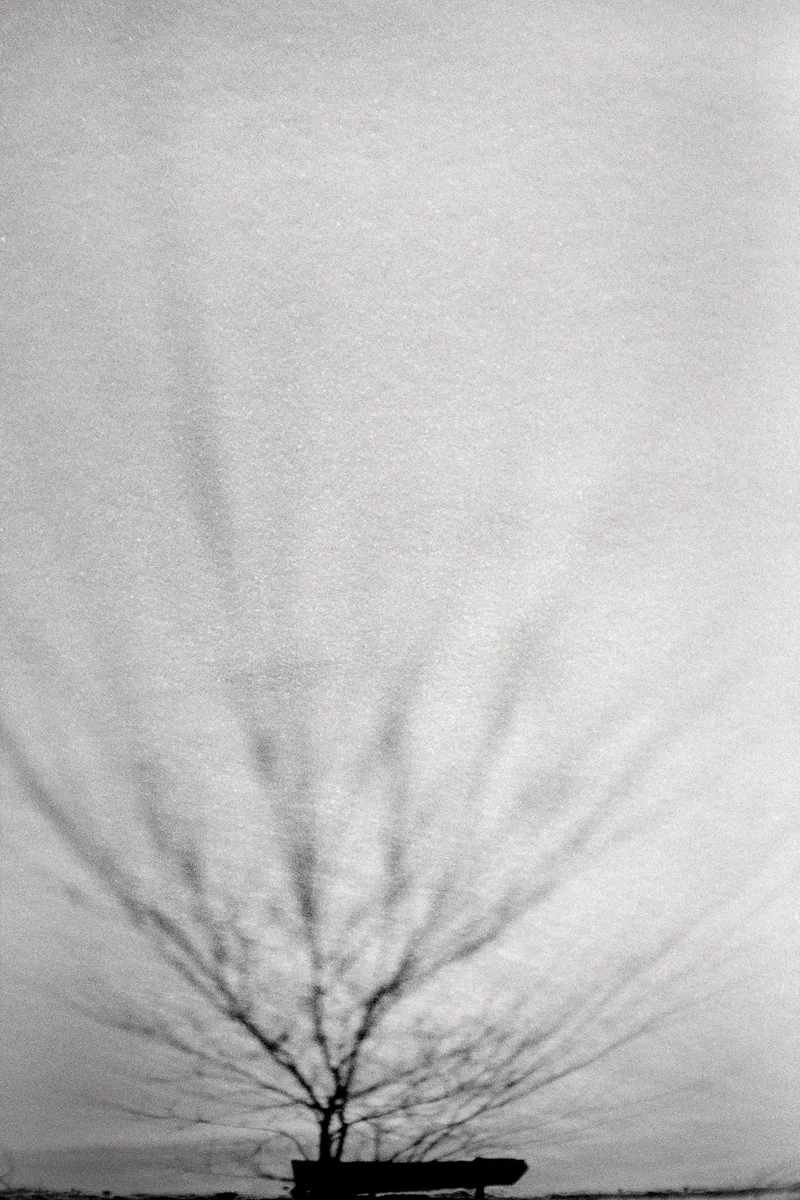 Rise shot on Ilford Kentmere Pan 400 with a Vivitar PN2011, developed at Home / Self-Developed, by Chikubi