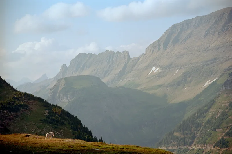 Glacier NP shot on Fuji Color 400 with a Nikon F100, developed at Panda Lab, by Marcus