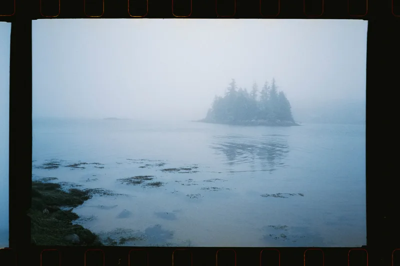 Film photo shot on Cinestill 800T with a Agfa Optima 1035 Sensor, by Emily