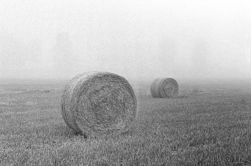 Morning Silence, 1962 shot on Ilford HP5 Plus 400 with a Zorki 4, developed at Home / Self-Developed, by lillepv