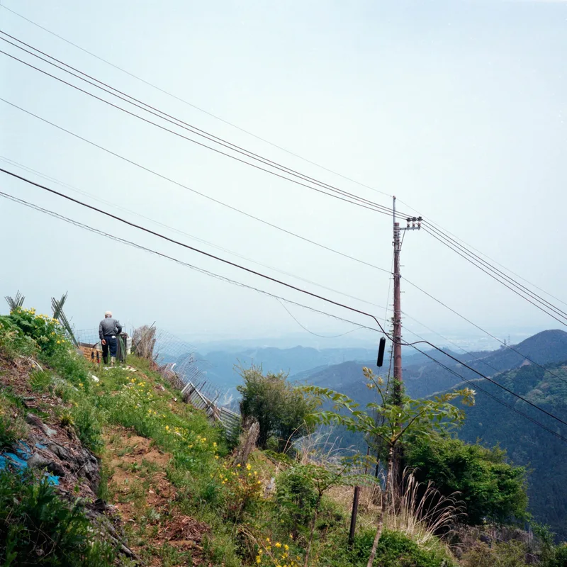 Work shot on Kodak Gold 200 with a Mamiya 6, developed at Graination, by Heather Legere