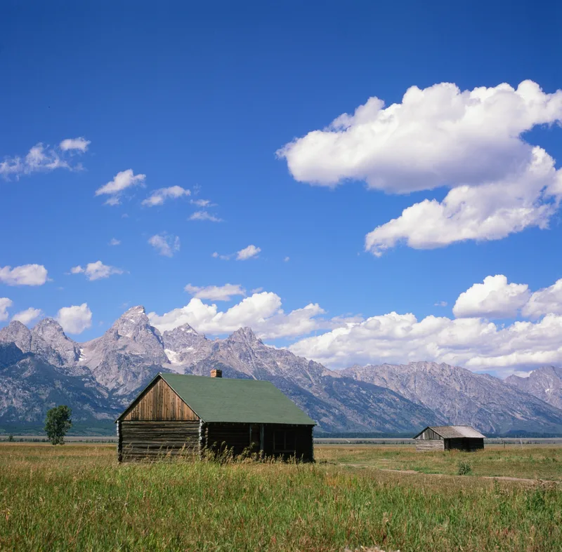Mormon Row shot on Fujifilm Provia 100F with a Hasselblad 500C/M, developed at Panda Lab, by Marcus