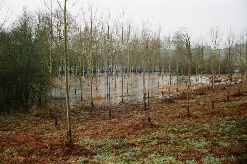 Pédiluve shot on Fujifilm 400 with a Konica Auto S2, developed at L'Atelier Argentique, by alvahgoldbook