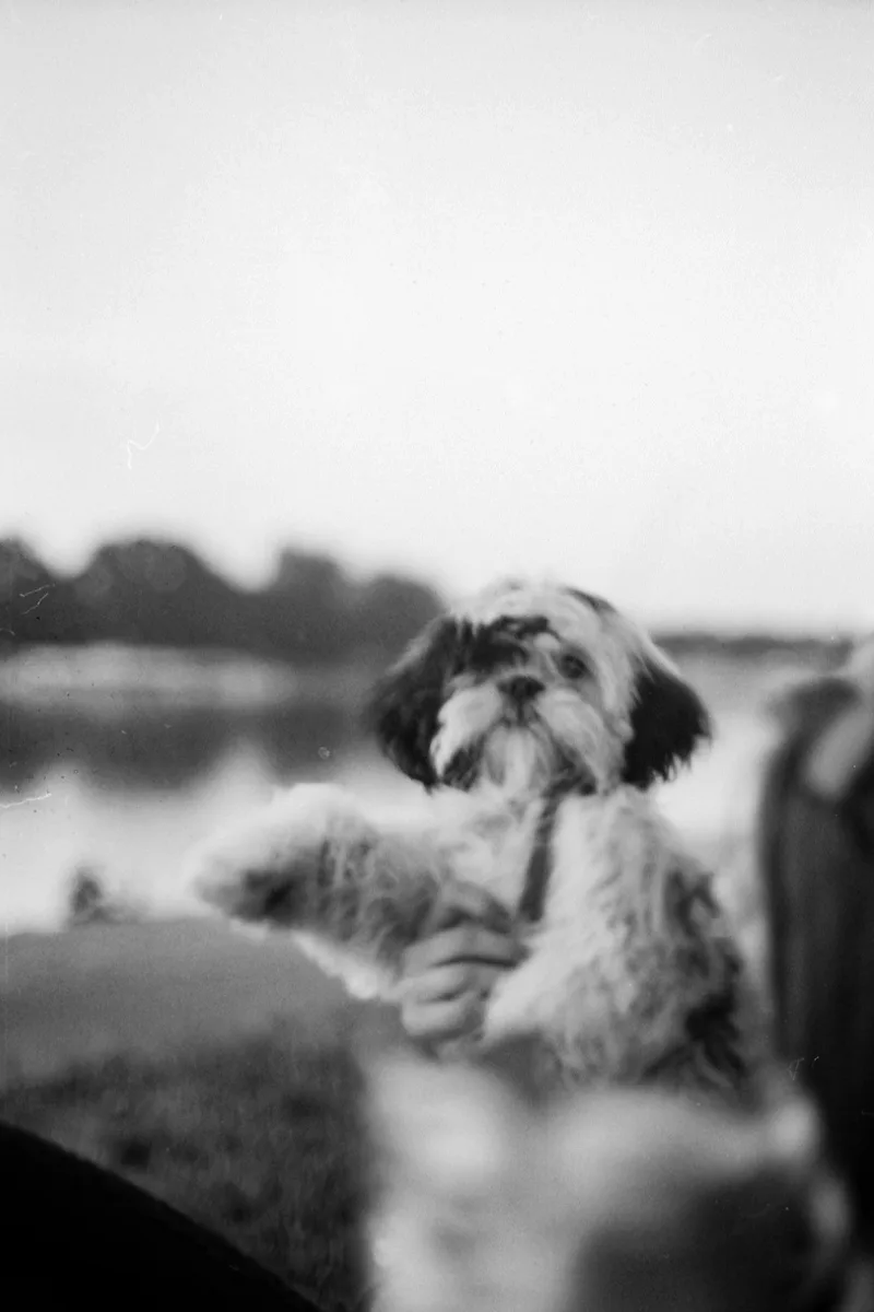 Film photo shot on Ilford PanF Plus 50 with a Canon F-1n, developed at Home / Self-Developed, by pavle