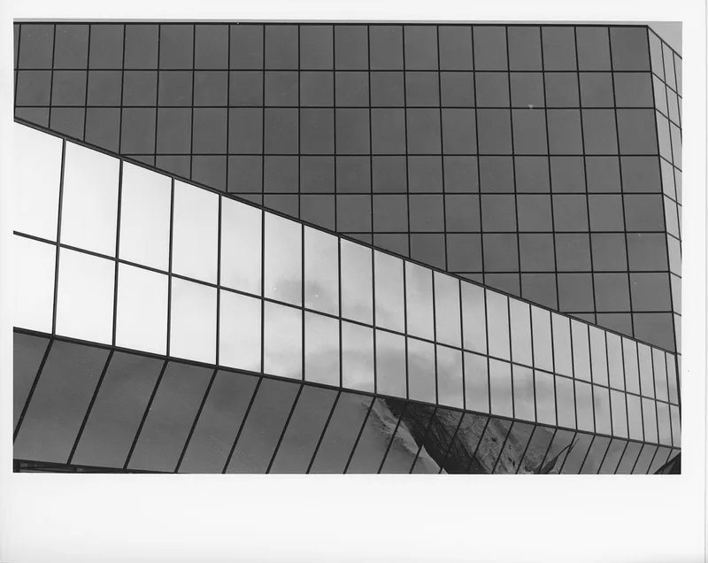 Vision shot on Kodak Plus-X with a Olympus OM-1N, by Luc Béliveau