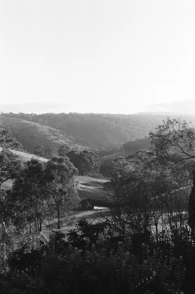 Cherry Gardens, Australia shot on Ilford HP5 Plus 400 with a Ricoh XR-10M, developed at Hutt Street Photos, by Fox