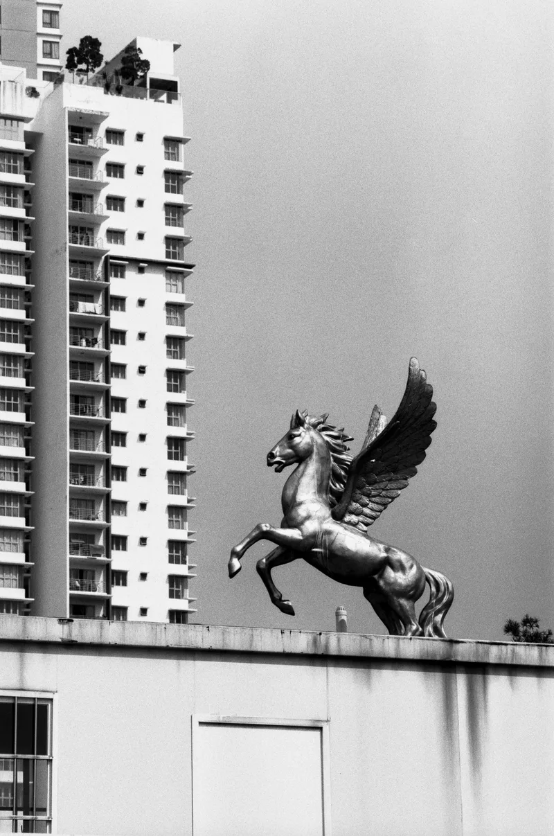 stasis shot on Foma Fomapan 100 Classic with a Canon New F-1, developed at Bobo Film Lab Chongqing, by BadMonkey